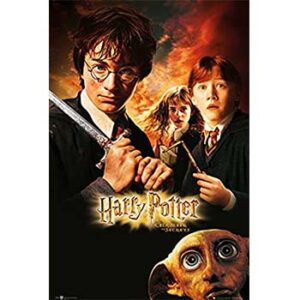 Dobby poster elfo harry potter ron harry hermione dobby papel gb eye